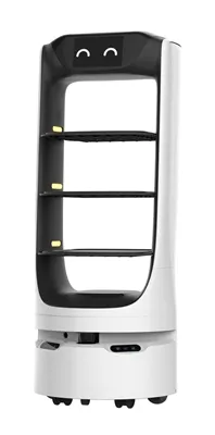 Applications étendues des robots de livraison REEMAN dans les pays Gloab